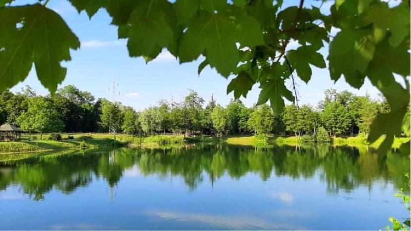 Apartment Country House Zaton Tisina Ngoại thất bức ảnh